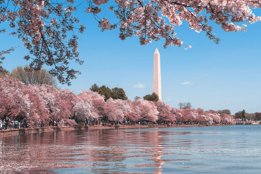 SPRING 2025: YOUR BUCKET LIST FOR THE SEASON