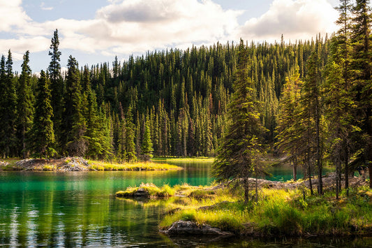 END OF SUMMER: LAST-MINUTE CAMPING DESTINATIONS