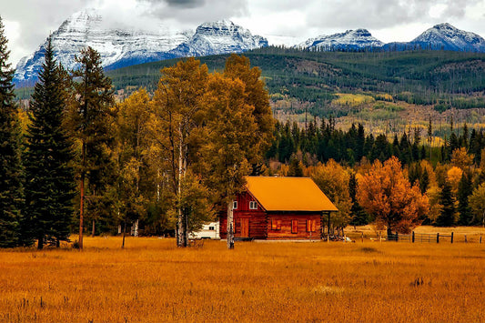 FALL HOME MAINTENANCE: PREPPING FOR COLD WEATHER