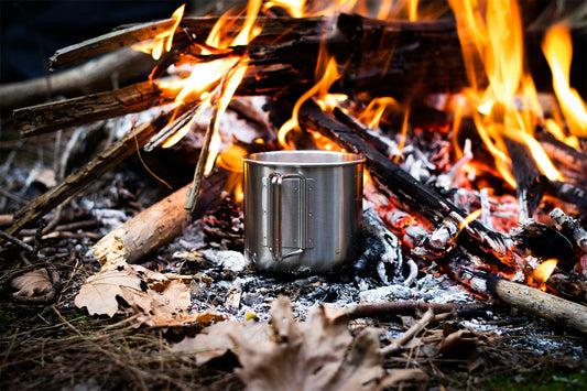 CAMPFIRE COOKING: 10 SIMPLE ONE-POT MEALS
