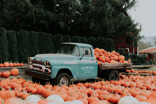 FALL ADVENTURES: GUIDE TO HARVEST SEASON