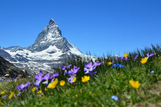 WINTER PREP FOR SPRING ADVENTURES: GEAR UP NOW