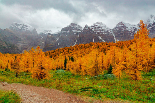 FALL FOLIAGE: A GUIDE TO THE BEST US DESTINATIONS