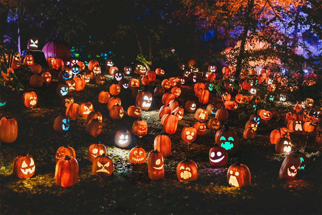 TRICK-OR-TREATING SAFETY: EDC FOR HALLOWEEN NIGHT