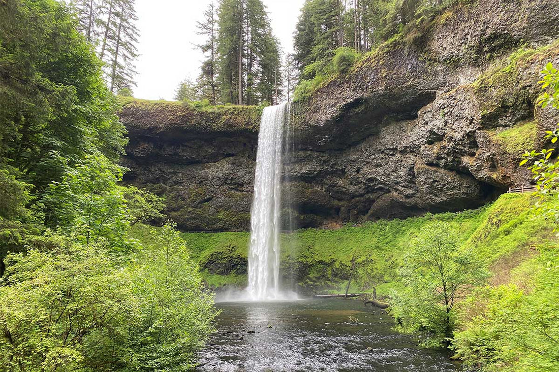 SILVER FALLS REVIEW: BEHIND THE CURTAIN OF WATER