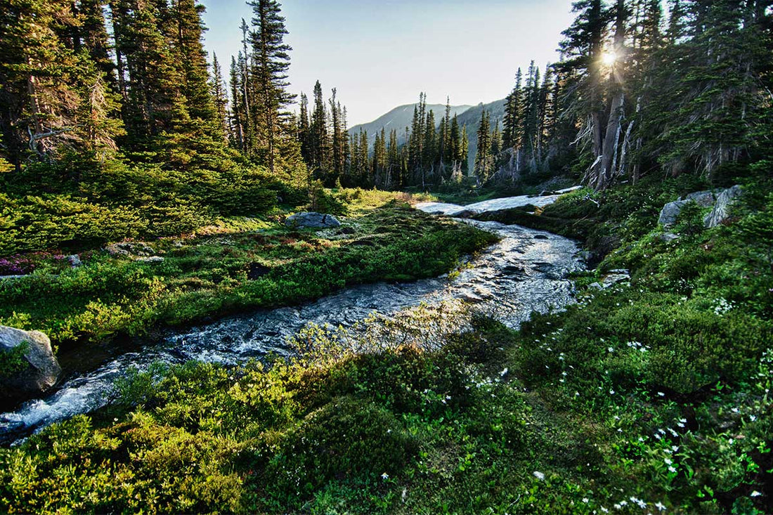 SPRING AWAKENING: 10 INCREDIBLE US DESTINATIONS