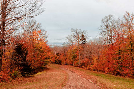 THANKSGIVING HIKES: TRAILS ON TURKEY DAY